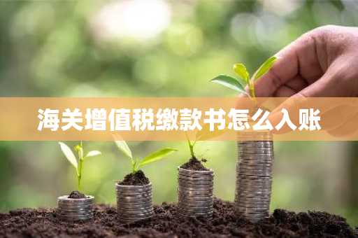 海关增值税缴款书怎么入账