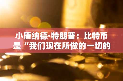 小唐纳德·特朗普：比特币是“我们现在所做的一切的重要组成部分”