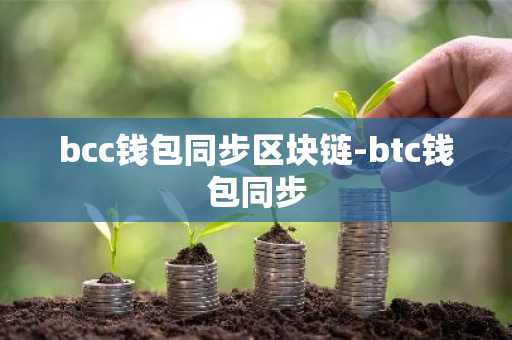 bcc钱包同步区块链-btc钱包同步