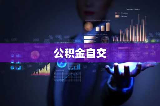公积金自交