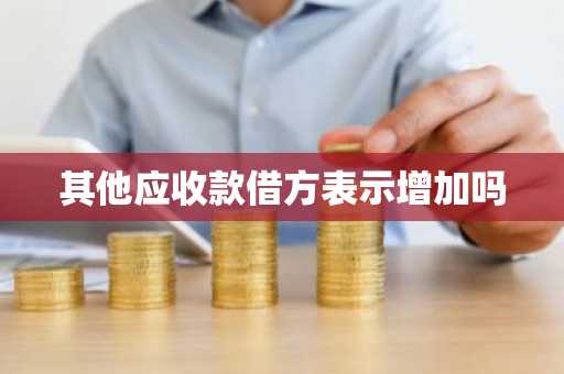 其他应收款借方表示增加吗