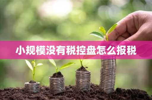 小规模没有税控盘怎么报税