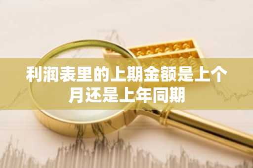 利润表里的上期金额是上个月还是上年同期