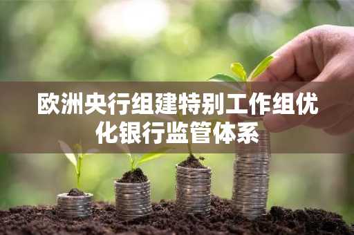 欧洲央行组建特别工作组优化银行监管体系