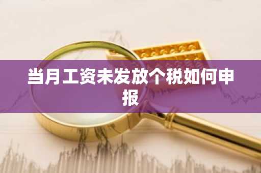当月工资未发放个税如何申报