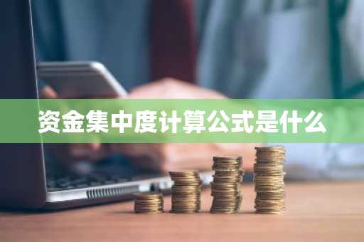 资金集中度计算公式是什么