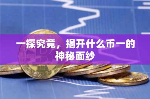 一探究竟，揭开什么币一的神秘面纱