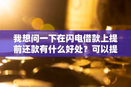 我想问一下在闪电借款上提前还款有什么好处？可以提前还款吗？