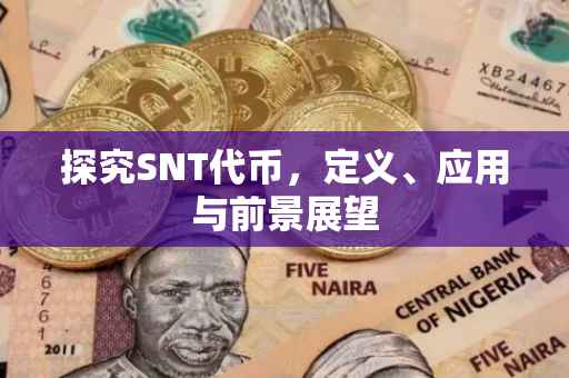 探究SNT代币，定义、应用与前景展望