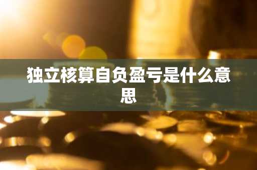 独立核算自负盈亏是什么意思