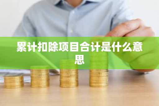 累计扣除项目合计是什么意思