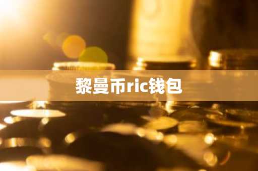 黎曼币ric钱包