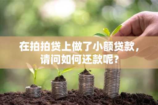 在拍拍贷上做了小额贷款，请问如何还款呢？