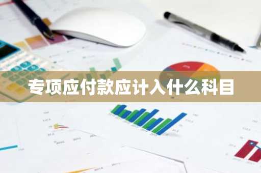 专项应付款应计入什么科目