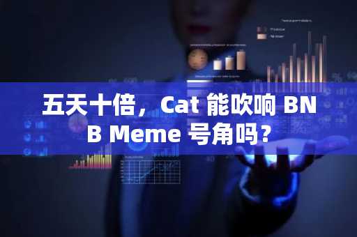 五天十倍，Cat 能吹响 BNB Meme 号角吗？