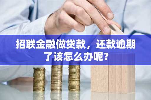 招联金融做贷款，还款逾期了该怎么办呢？