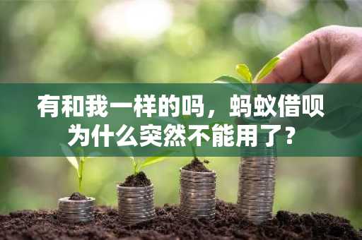 有和我一样的吗，蚂蚁借呗为什么突然不能用了？