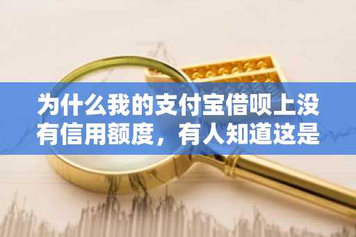 为什么我的支付宝借呗上没有信用额度，有人知道这是什么情况吗？