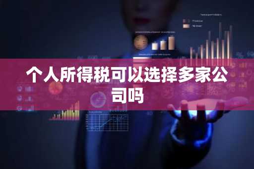 个人所得税可以选择多家公司吗