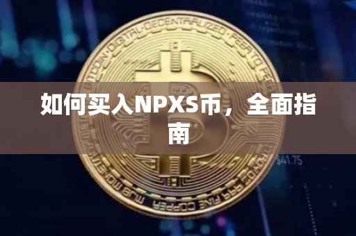 如何买入NPXS币，全面指南