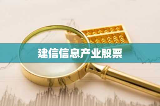 建信信息产业股票