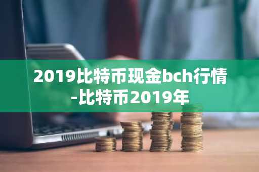 2019比特币现金bch行情-比特币2019年