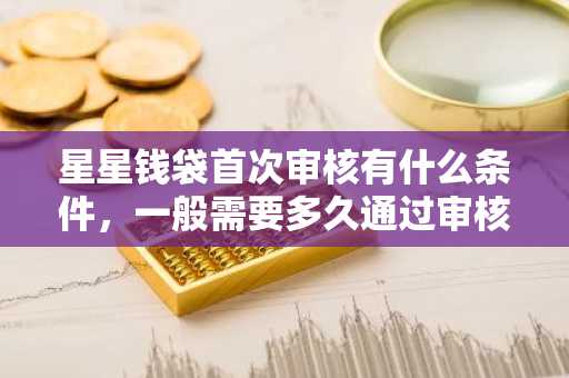 星星钱袋首次审核有什么条件，一般需要多久通过审核？