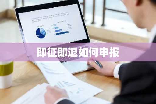 即征即退如何申报