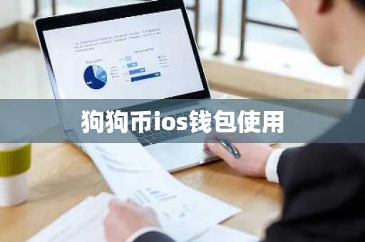 狗狗币ios钱包使用