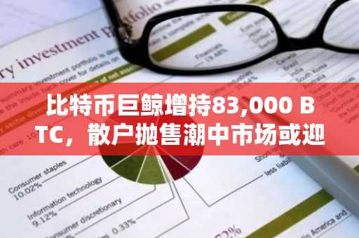 比特币巨鲸增持83,000 BTC，散户抛售潮中市场或迎新高