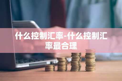 什么控制汇率-什么控制汇率最合理