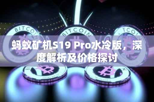蚂蚁矿机S19 Pro水冷版，深度解析及价格探讨