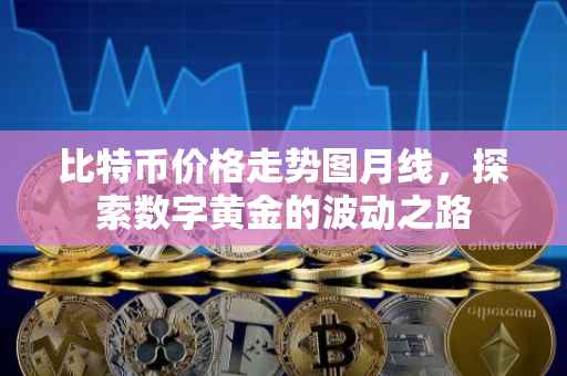 比特币价格走势图月线，探索数字黄金的波动之路