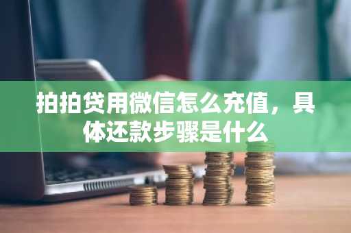 拍拍贷用微信怎么充值，具体还款步骤是什么