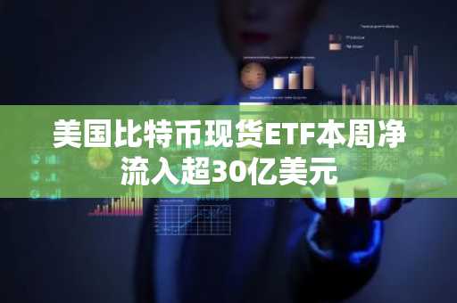美国比特币现货ETF本周净流入超30亿美元