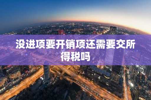 没进项要开销项还需要交所得税吗