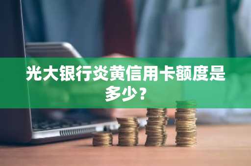 光大银行炎黄信用卡额度是多少？
