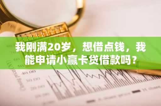我刚满20岁，想借点钱，我能申请小赢卡贷借款吗？