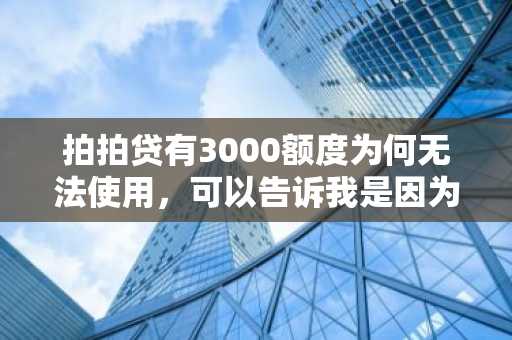 拍拍贷有3000额度为何无法使用，可以告诉我是因为什么吗？