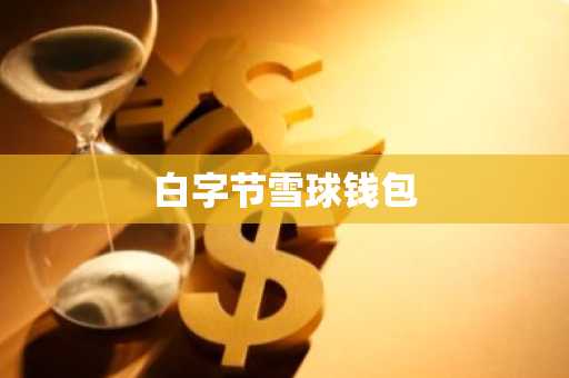 白字节雪球钱包