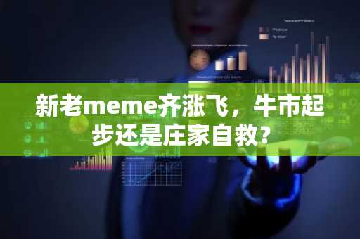 新老meme齐涨飞，牛市起步还是庄家自救？
