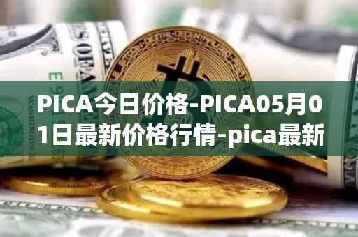 PICA今日价格-PICA05月01日最新价格行情-pica最新走势消息