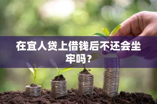 在宜人贷上借钱后不还会坐牢吗？
