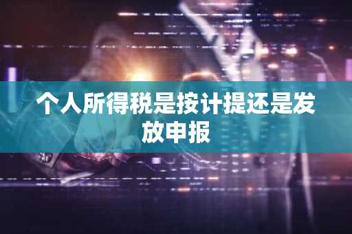 个人所得税是按计提还是发放申报