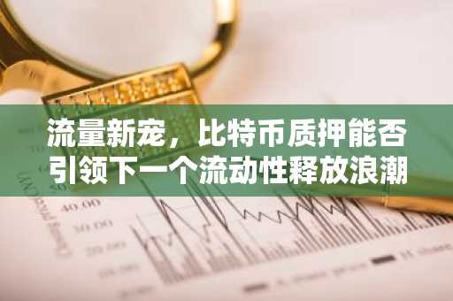 流量新宠，比特币质押能否引领下一个流动性释放浪潮？