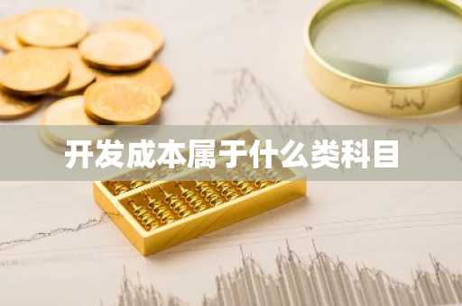 开发成本属于什么类科目