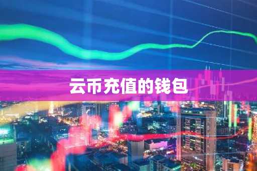 云币充值的钱包