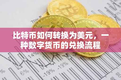 比特币如何转换为美元，一种数字货币的兑换流程
