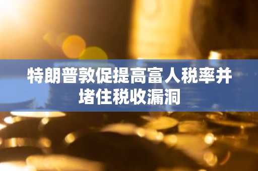特朗普敦促提高富人税率并堵住税收漏洞