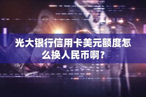 光大银行信用卡美元额度怎么换人民币啊？